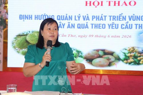 Bà Phạm Thị Minh Hiếu, Chi cục trưởng Chi cục Trồng trọt và Bảo vệ thực vật TP. Cần Thơ giải đáp thắc mắc về đăng ký mã số vùng trồng cho các hợp tác xã. Ảnh: Thu Hiền - TTXVN