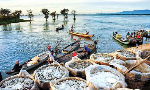 Theo quy hoạch tích hợp được Thủ tướng phê duyệt (2022), ĐBSCL được chia làm 3 vùng: nước ngọt, nước lợ và nước mặn. Tùy vào đặc thù mỗi vùng mà tận dụng tự nhiên để phát triển kinh tế. Ảnh: CTV