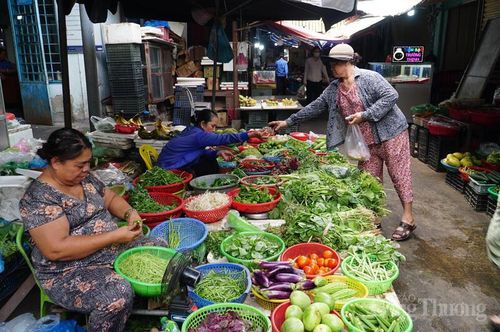 Phường Thanh Khê sẽ theo dõi hiệu quả từ mô hình thí điểm xử lý rác tại chợ Quán Hộ để nghiên cứu nhân rộng tại các chợ dân sinh khác trên địa bàn