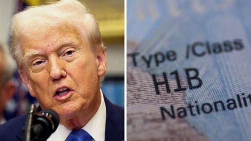Tổng thống Mỹ Donald Trump (trái) và hình ảnh minh họa thị thực H-1B (phải). Ảnh: AP.
