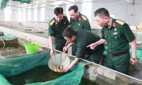 Các hội viên cựu chiến binh thăm mô hình nuôi cá cảnh của cựu chiến binh Phùng Văn Đồng (thứ 2 từ phải sang), xã Đồng Việt.