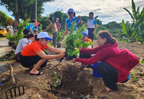 Hội viên phụ nữ phường Hòa Khánh trồng hoa, cây cảnh tại khu đất trống. Ảnh: NGỌC QUỐC