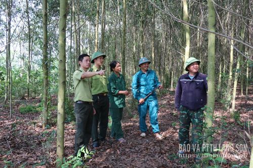 Thành viên Tổ quản lý bảo vệ rừng và PCCCR thôn Bình Thái, xã Thái Bình cùng cán bộ kiểm lâm khu vực Đình Lập tuần tra rừng