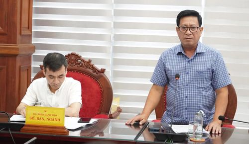 Đại biểu phát biểu tại buổi làm việc - Ảnh: Q.V