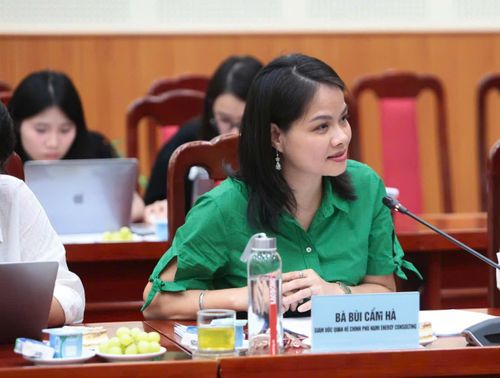 Bà Bùi Cẩm Hà, Giám đốc điều hành Nami Energy Consulting.