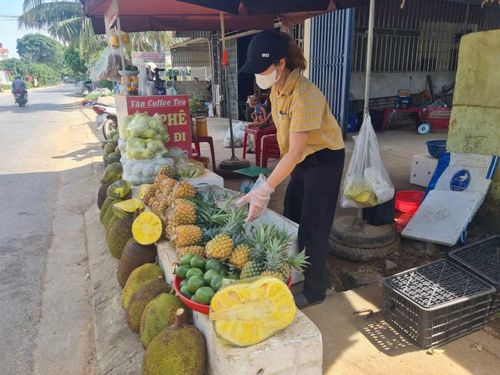 Việc tiêu thụ dứa qua bán lẻ không giải quyết được gốc của vấn đề.