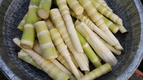 Sau khi mua măng tươi về, bạn nên luộc măng để khử hết vị đắng và độc tố. Ảnh minh họa