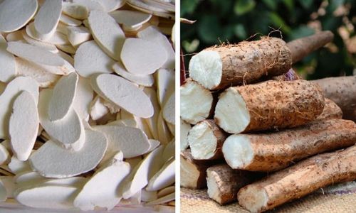 Củ hoài sơn còn có tên gọi khác là sơn dược, củ mài, củ mỡ, củ cọc (Ảnh minh họa)