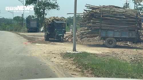 Các trạm cân đặt trái phép đặt sát tuyến tỉnh lộ 14E (nơi có nhiều đoàn khách du lịch tham quan hồ Truồi và Thiền viện Trúc Lâm Bạch Mã), việc xe cộ ra vào tấp nập tiềm ẩn nguy cơ mất an toàn giao thông.