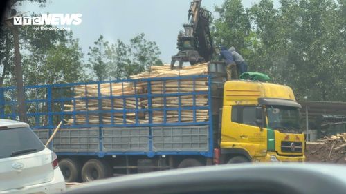 Một trạm cân thu mua keo tràm trái phép khác nằm trên tuyến tỉnh lộ 14E (xã Lộc An, TP Huế) cách trạm cân trái phép kể trên chỉ vài km.