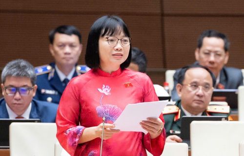 Đại biểu Quốc hội Nguyễn Thị Việt Nga. Ảnh: Media Quốc hội