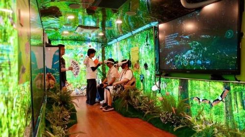 Du khách trải nghiệm xe buýt trung tâm thiên nhiên lưu động tại nhiều điểm du lịch trên địa bàn tỉnh.