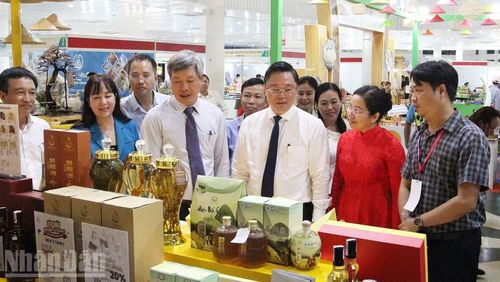 Đại biểu tham quan các gian hàng.