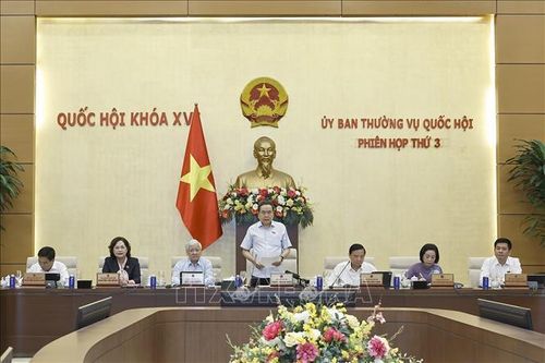 Chủ tịch Quốc hội Trần Thanh Mẫn phát biểu khai mạc Phiên họp. Ảnh: Doãn Tấn/TTXVN.