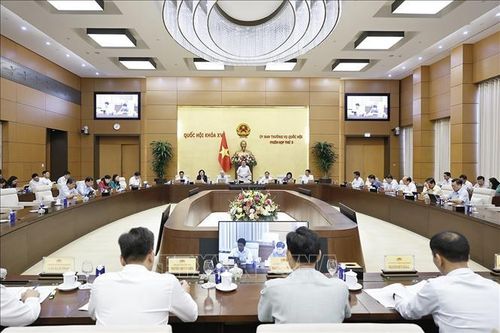 Chủ tịch Quốc hội Trần Thanh Mẫn phát biểu tại Phiên họp. Ảnh: Doãn Tấn/TTXVN
