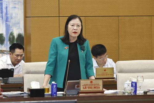 Chủ nhiệm Ủy ban Dân nguyện và Giám sát của Quốc hội Lê Thị Nga phát biểu. Ảnh: Doãn Tấn/TTXVN