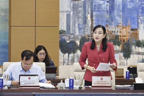 Chủ nhiệm Ủy ban Khoa học, Công nghệ và Môi trường của Quốc hội Nguyễn Thanh Hải phát biểu. Ảnh: Doãn Tấn/TTXVN