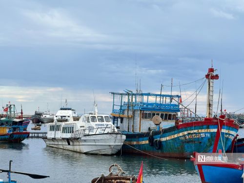 Không ít con tàu phải dừng hoạt động, để rồi lặng lẽ nằm lại giữa vũng neo đậu tàu thuyền Lý Sơn.