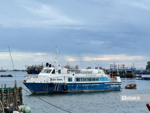 Nhiều phương tiện phải dừng khai thác vì không thể duy trì hiệu quả kinh doanh.