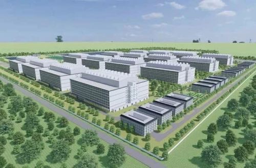 BAF Việt Nam bị phạt trong bối cảnh công ty đề xuất phát triển Tổ hợp chăn nuôi tập trung ứng dụng công nghệ cao tại Hà Nội.