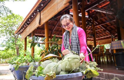 Mô hình nông nghiệp kết hợp du lịch trải nghiệm tại BaDen Farm góp phần quảng bá sản phẩm OCOP và phát triển kinh tế nông thôn Tây Ninh. Ảnh: Giang Phương - TTXVN