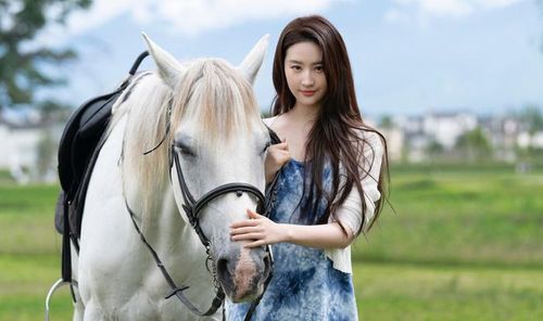 Sau biến cố mất đi người bạn thân, Hứa Hồng Đậu quyết định rời xa công việc áp lực ở thành phố để đến một ngôi làng cổ tại Đại Lý nghỉ ngơi và tìm lại sự cân bằng trong cuộc sống. Tại đây, cô gặp Tạ Chi Dao - chàng trai từ bỏ công việc lương cao để trở về quê phát triển du lịch và gìn giữ văn hóa địa phương. Mối quan hệ giữa hai người được xây dựng chậm rãi qua những sinh hoạt đời thường, những con người chất phác và khung cảnh thiên nhiên yên bình. Không chỉ kể một câu chuyện tình yêu, Đi Đến Nơi Có Gió còn gửi gắm thông điệp về việc sống chậm, biết trân trọng hiện tại và tìm kiếm hạnh phúc từ những điều giản dị nhất.
