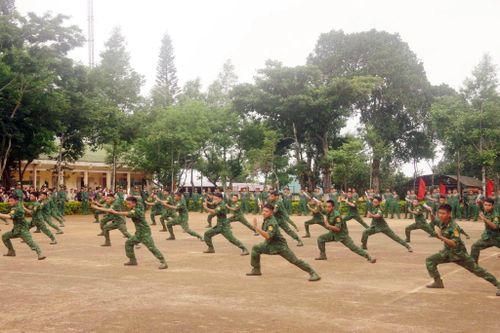 Chiến sĩ mới đồng diễn võ thuật