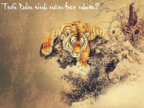 Đây được xem là thời điểm tuổi Dần gặt hái nhiều thành quả nhất trong giai đoạn ba tháng. Ảnh minh họa