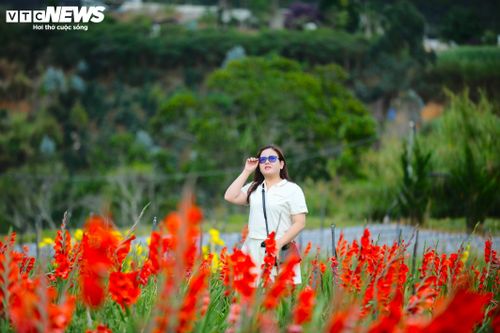Do thời tiết mát mẻ quanh năm, những vườn hoa luôn nở rộ khắp nơi và khắp cả bốn mùa trong năm khiến Đà Lạt trở nên rực rỡ. Đây là điều không nơi nào có được.