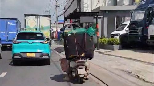  Các thành viên trong đường dây vận chuyển mèo đi tiêu thụ. Ảnh: CA 