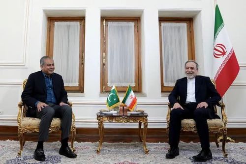 Bộ trưởng Nội vụ Pakistan, Mohsin Naqvi, đã có chuyến thăm Tehran vào Chủ nhật và gặp gỡ Ngoại trưởng Iran, Abbas Araghchi. Ảnh: Reuters.