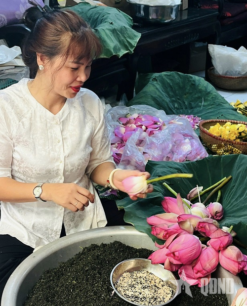 Trà sen Tây Hồ được ướp bằng hoa sen Bách Diệp.
