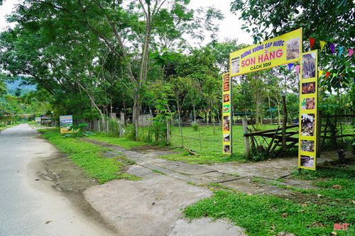 Xã Sơn Kim 1 đã rà soát, trích đo 82.086 m² đất dọc khu vực suối Rào Àn để xây dựng phương án quản lý, cho thuê theo quy định.