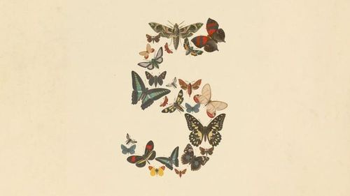 Anthropic đã công bố ra mắt Claude Fable 5.