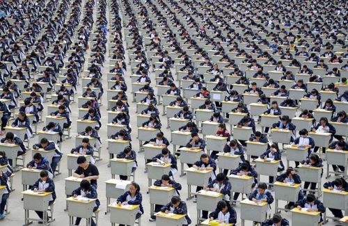 Năm nay, Trung Quốc hướng thí sinh vào các ngành học đáp ứng thị trường lao động cao. Ảnh: Asia Times