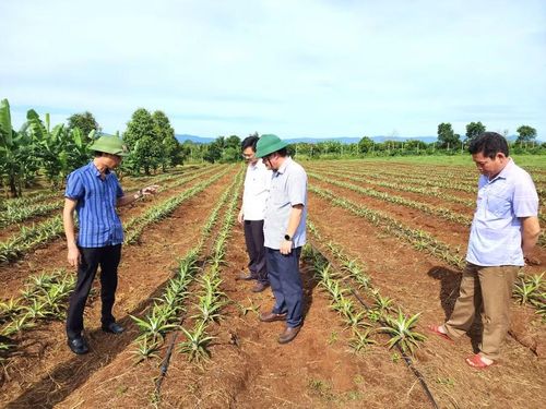  Năng lực nắm bắt thực tiễn và giải quyết kịp thời các vấn đề phát sinh từ cơ sở là yêu cầu ngày càng cao đối với cán bộ lãnh đạo cấp xã. Ảnh: NVCC 