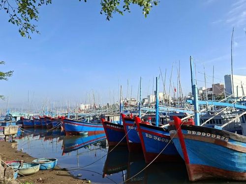  Theo quy định, tàu dài từ 12 m trở lên phải ghi và nộp nhật ký khai thác. Ảnh: Phan Tuấn 
