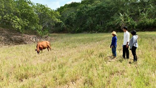 Không chỉ được nhận bò giống - cần câu thoát nghèo mà bà con còn được sự quan tâm, đồng hành hỗ trợ của chính quyền địa phương