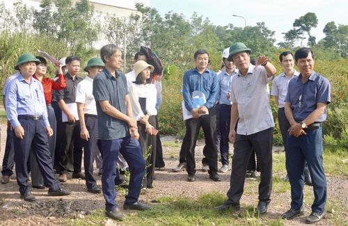 Đoàn kiểm tra của UBND tỉnh khảo sát khu vực dự định triển khai dự án xử lý chất thải rắn bằng công nghệ đốt rác phát điện tại xã Nam Trạch - Ảnh: H.N