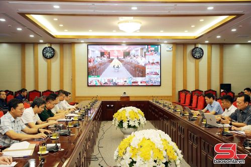 Cuộc họp được tổ chức trực tuyến đến các xã, phường.