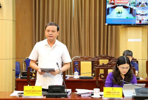 Đồng chí Nguyễn Mạnh Tuấn, Ủy viên Ban Thường vụ Tỉnh ủy, Phó Chủ tịch Thường trực UBND tỉnh phát biểu tại phiên họp.