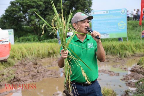 Hợp tác xã chính là chìa khóa để đẩy mạnh những mô hình cánh đồng lúa lớn, giảm phát thải.