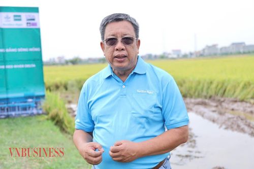 Ông Lê Thanh Tùng, Phó Chủ tịch kiêm Tổng Thư ký Hiệp hội Ngành hàng Lúa gạo Việt Nam.