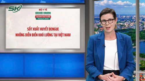 TS. Angela Pratt - Trưởng đại diện WHO tại Việt Nam 