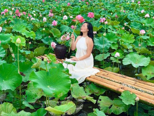 Phái đẹp lưu lại những khoảnh khắc đẹp bên đầm sen đang vào mùa nở rộ.