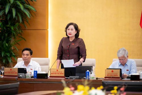 Phó Chủ tịch Quốc hội Nguyễn Thị Hồng phát biểu tại phiên họp.