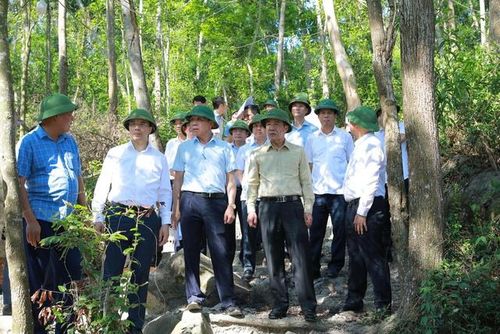 Bí thư Tỉnh ủy Thanh Hóa Lê Đức Thái kiểm tra thực địa Dự án Khu vườn đảo hoang và Hoài niệm thuộc Khu du lịch văn hóa sinh thái núi Trường Lệ.