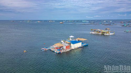 Len lỏi giữa vùng nước tĩnh lặng là hệ thống hơn 20 bè nổi dịch vụ được thiết kế năng động, rực rỡ sắc màu.