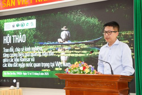  Ông Hoàng Việt, Giám đốc Chương trình Nước của WWF-Việt Nam phát biểu tại hội thảo 