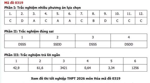 Gợi ý đáp án mang tính tham khảo.